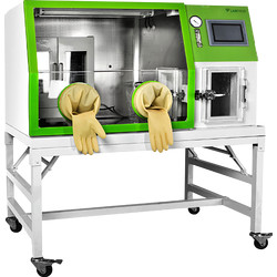 Anaerobic Incubator : Anaerobic Incubator LAI-A11