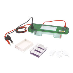 Horizontal Electrophoresis System : Horizontal Electrophoresis System LHES-A10 Horizontal Electrophoresis System : Horizontal Electrophoresis System LHES-A10