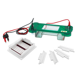 Horizontal Electrophoresis System : Horizontal Electrophoresis System LHES-A11 Horizontal Electrophoresis System : Horizontal Electrophoresis System LHES-A11