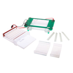 Horizontal Electrophoresis System : Horizontal Electrophoresis System LHES-A12 Horizontal Electrophoresis System : Horizontal Electrophoresis System LHES-A12