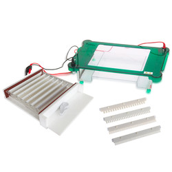 Horizontal Electrophoresis System : Horizontal Electrophoresis System LHES-A13 Horizontal Electrophoresis System : Horizontal Electrophoresis System LHES-A13