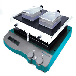 See Saw Rocking Shaker : See Saw Rocking Shaker LSSR-A20