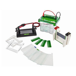 Vertical Electrophoresis System : Vertical Electrophoresis System LVES-A10 Vertical Electrophoresis System : Vertical Electrophoresis System LVES-A10