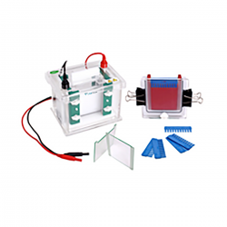 Vertical Electrophoresis System : Vertical Electrophoresis System LVES-A12 Vertical Electrophoresis System : Vertical Electrophoresis System LVES-A12